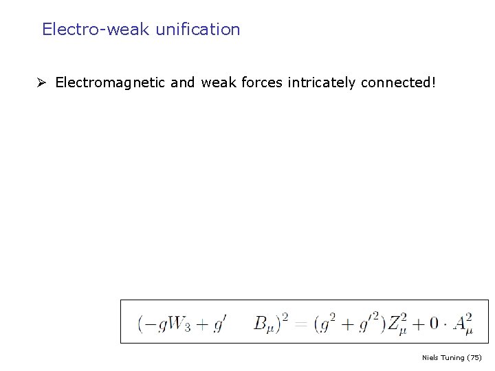 Electro-weak unification Ø Electromagnetic and weak forces intricately connected! Niels Tuning (75) 