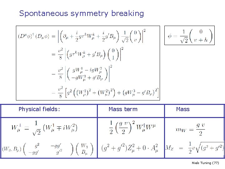 Spontaneous symmetry breaking Physical fields: Mass term Mass Niels Tuning (77) 
