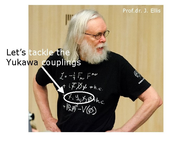 Prof. dr. J. Ellis Let’s tackle the Yukawa couplings 