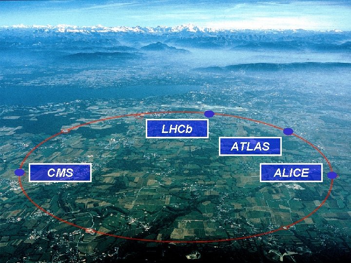 LHCb ATLAS CMS ALICE 