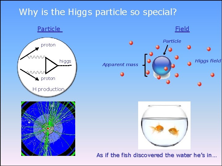 Why is the Higgs particle so special? Particle Field Particle proton higgs Apparent mass