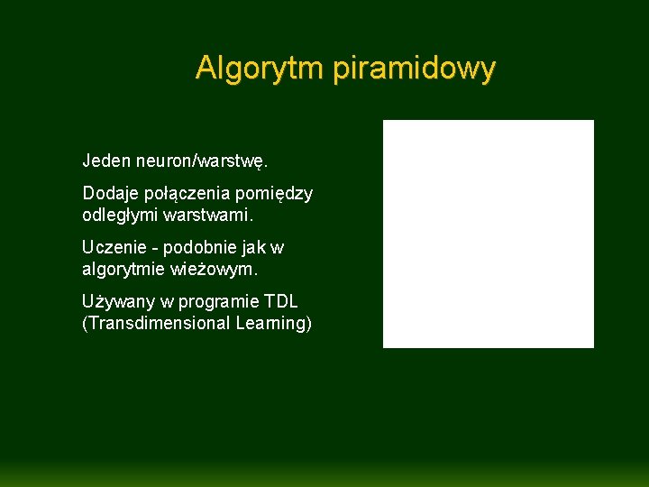 Algorytm piramidowy Jeden neuron/warstwę. Dodaje połączenia pomiędzy odległymi warstwami. Uczenie - podobnie jak w