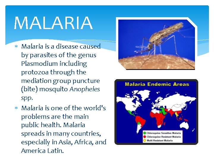 MALARIA Malaria is a disease caused by parasites of the genus Plasmodium including protozoa