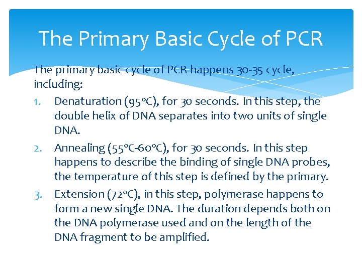 The Primary Basic Cycle of PCR The primary basic cycle of PCR happens 30