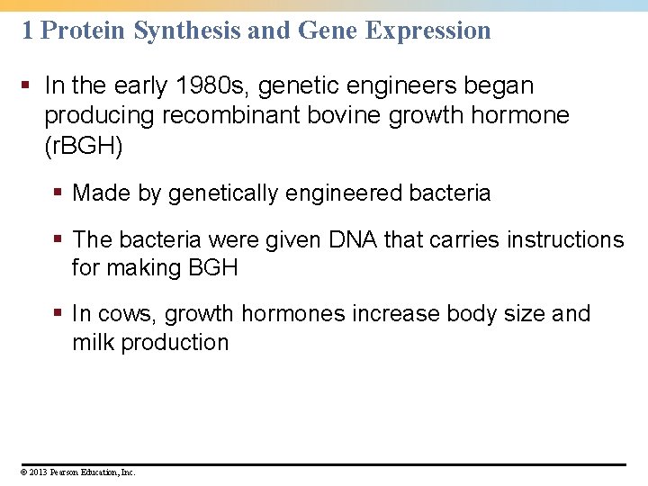 1 Protein Synthesis and Gene Expression § In the early 1980 s, genetic engineers