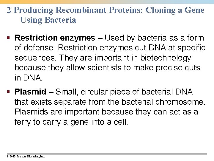 2 Producing Recombinant Proteins: Cloning a Gene Using Bacteria § Restriction enzymes – Used