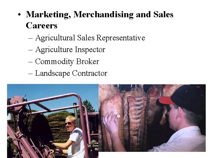  • Marketing, Merchandising and Sales Careers – Agricultural Sales Representative – Agriculture Inspector