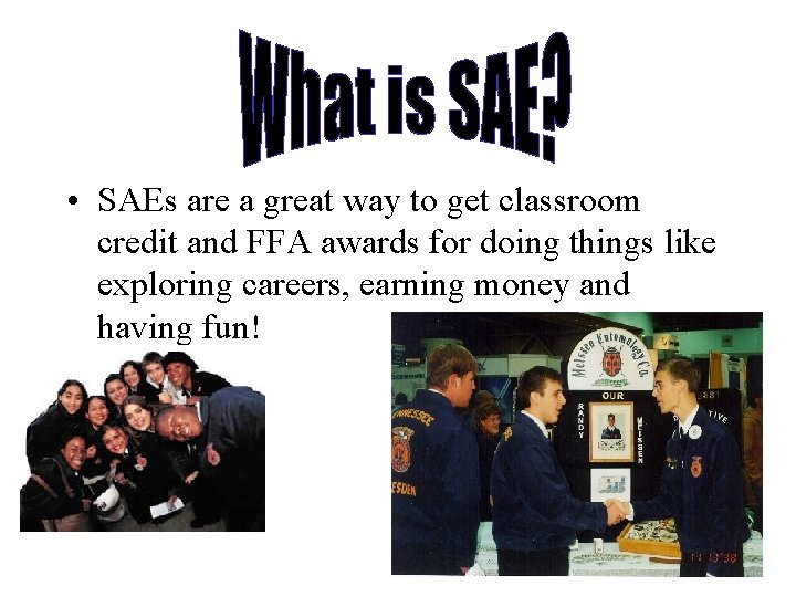  • SAEs are a great way to get classroom credit and FFA awards
