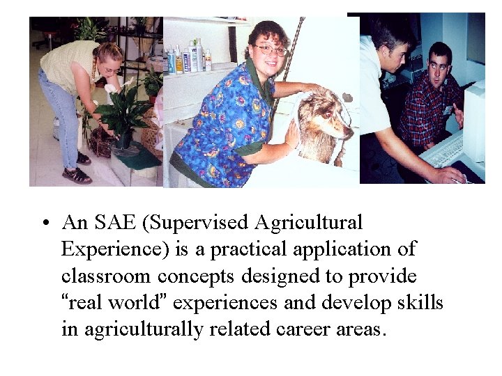  • An SAE (Supervised Agricultural Experience) is a practical application of classroom concepts