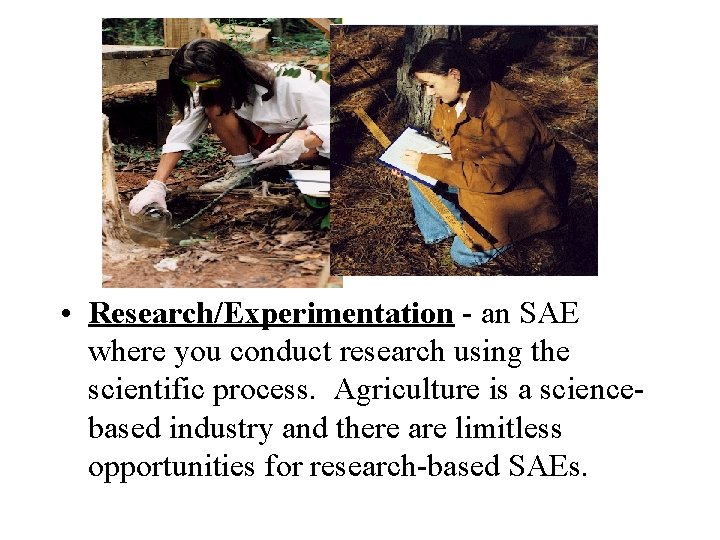  • Research/Experimentation - an SAE where you conduct research using the scientific process.