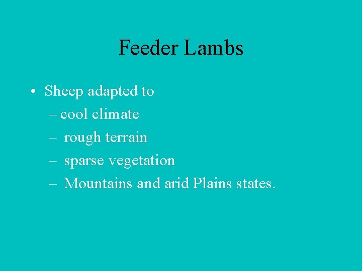 Feeder Lambs • Sheep adapted to – cool climate – rough terrain – sparse