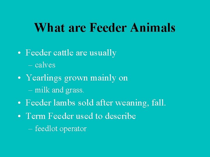 What are Feeder Animals • Feeder cattle are usually – calves • Yearlings grown