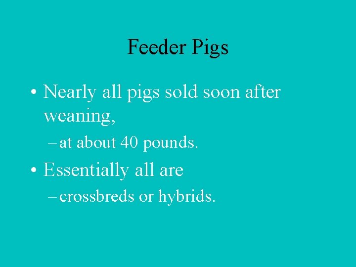 Feeder Pigs • Nearly all pigs sold soon after weaning, – at about 40