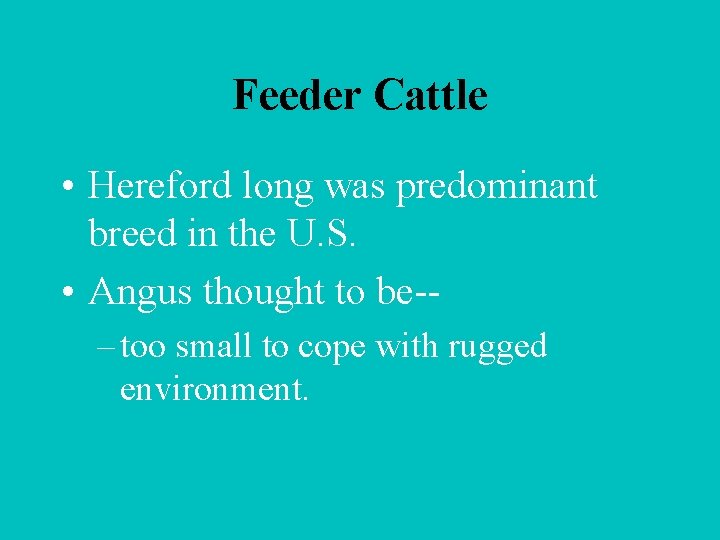 Feeder Cattle • Hereford long was predominant breed in the U. S. • Angus