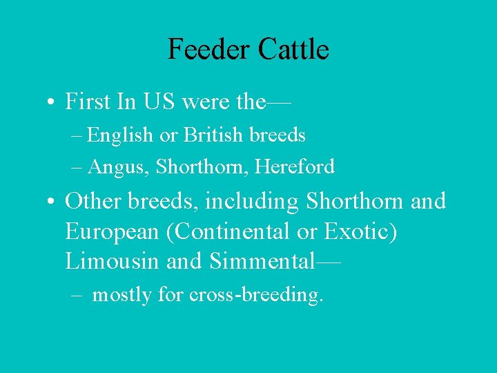 Feeder Cattle • First In US were the— – English or British breeds –