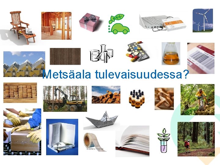 Metsäala tulevaisuudessa? 