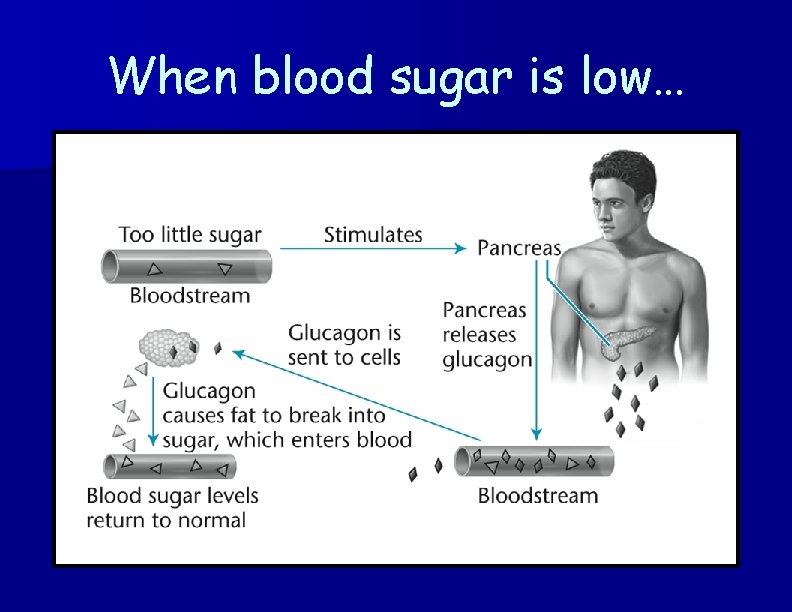 When blood sugar is low… 