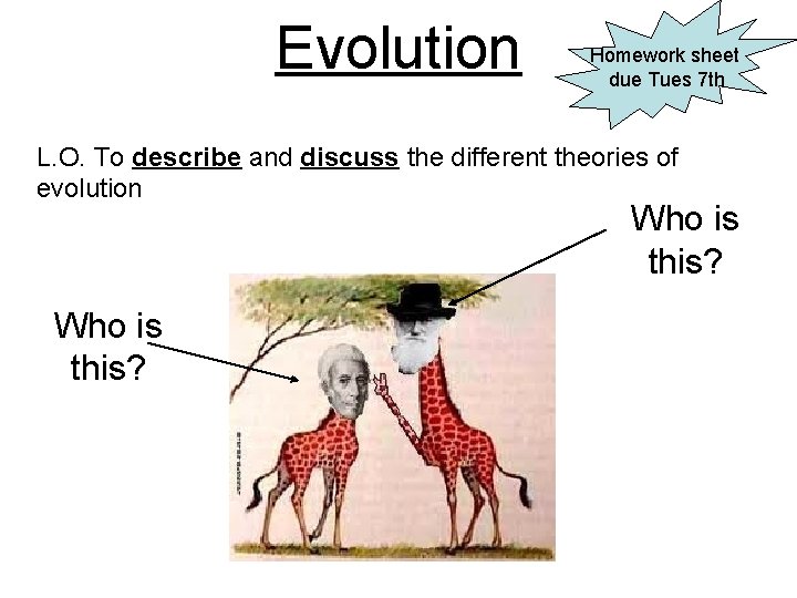 Evolution Homework sheet due Tues 7 th L. O. To describe and discuss the