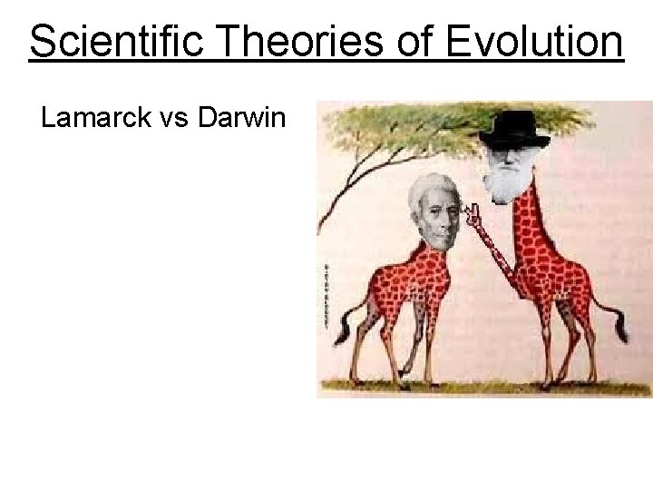 Scientific Theories of Evolution Lamarck vs Darwin 