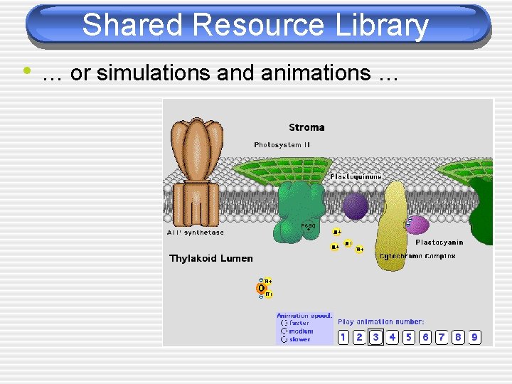 Shared Resource Library • … or simulations and animations … 