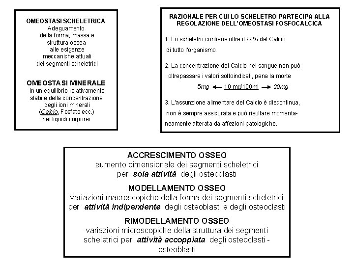 OMEOSTASI SCHELETRICA Adeguamento della forma, massa e struttura ossea alle esigenze meccaniche attuali dei