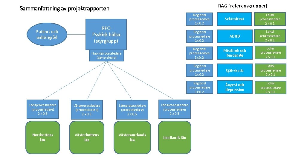 RAG (referensgrupper) Sammanfattning av projektrapporten Patient och anhörigråd Regional processledare 1 x 0. 2