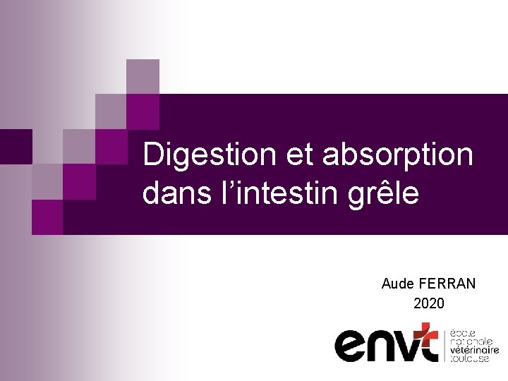 Digestion et absorption dans l’intestin grêle Aude FERRAN 2020 