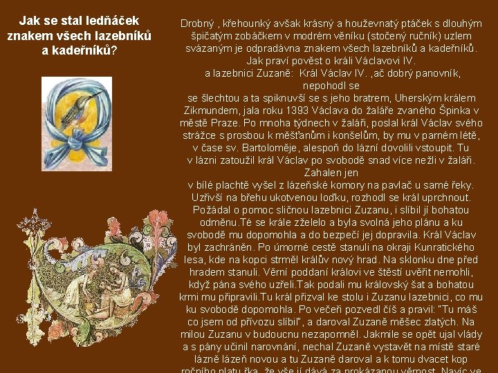 Jak se stal ledňáček znakem všech lazebníků a kadeřníků? Drobný , křehounký avšak krásný