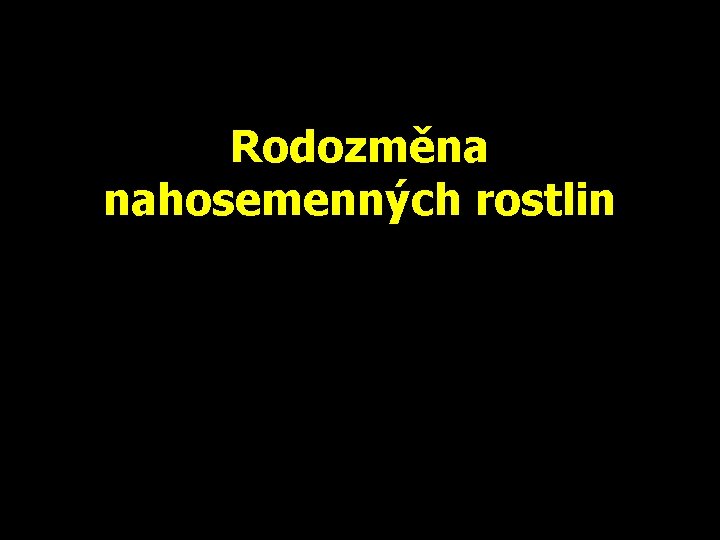 Rodozměna nahosemenných rostlin 