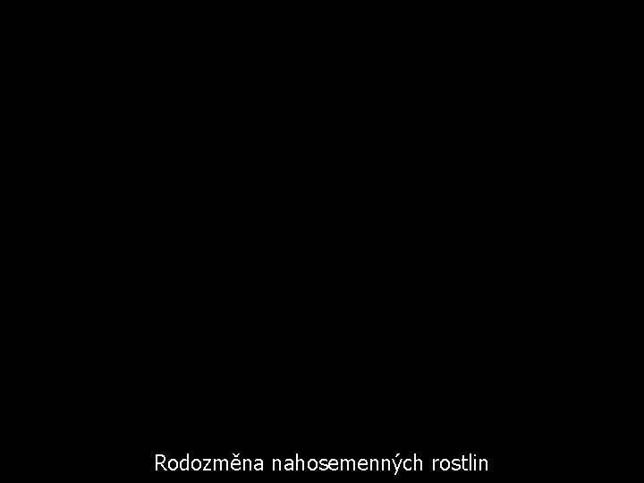 Rodozměna nahosemenných rostlin 