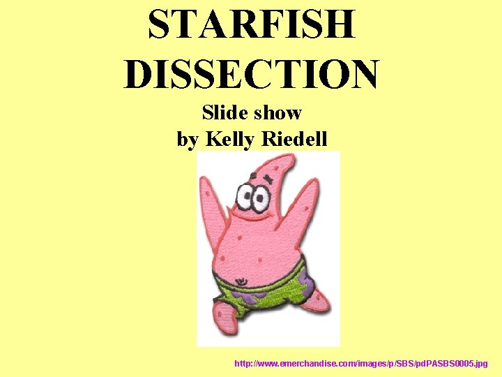 STARFISH DISSECTION Slide show by Kelly Riedell http: //www. emerchandise. com/images/p/SBS/pd. PASBS 0005. jpg