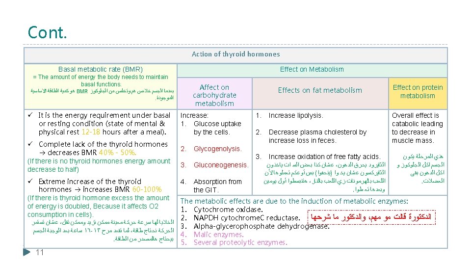 Cont. Action of thyroid hormones Basal metabolic rate (BMR) Effect on Metabolism = The