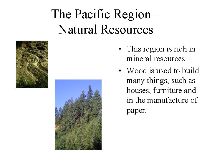 The Pacific Region – Natural Resources • This region is rich in mineral resources.