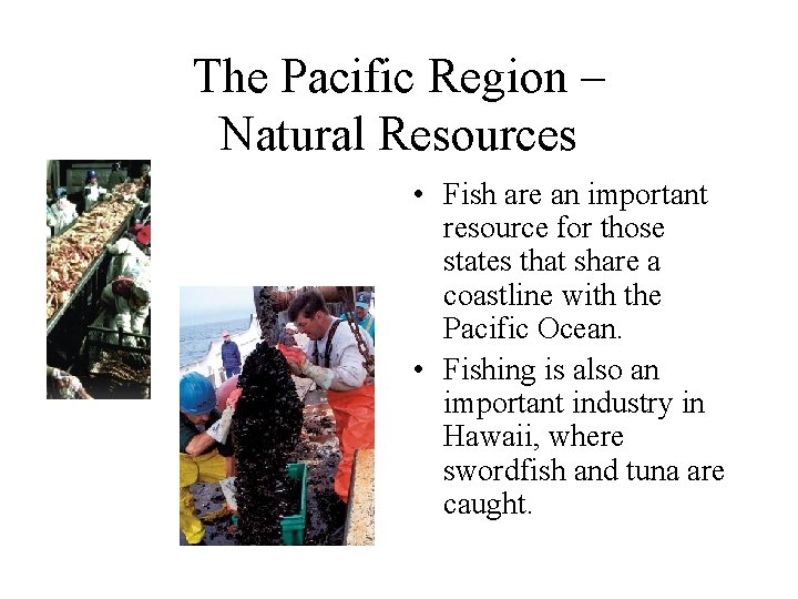 The Pacific Region – Natural Resources • Fish are an important resource for those