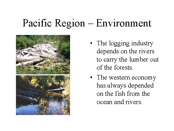 Pacific Region – Environment • The logging industry depends on the rivers to carry
