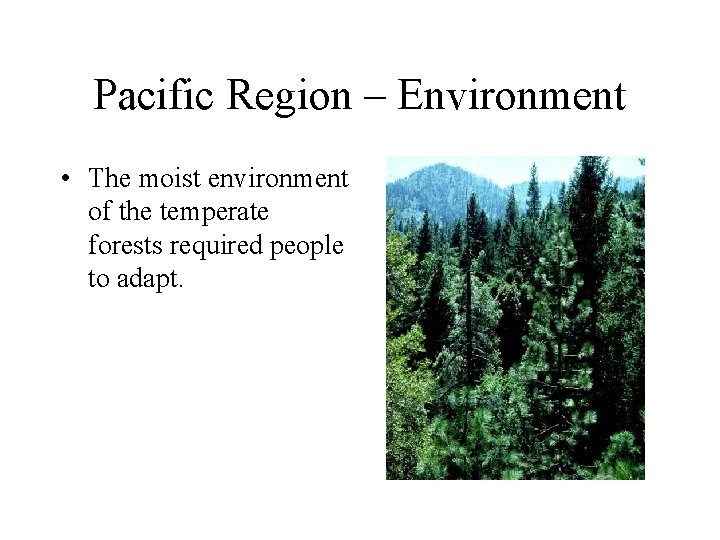 Pacific Region – Environment • The moist environment of the temperate forests required people