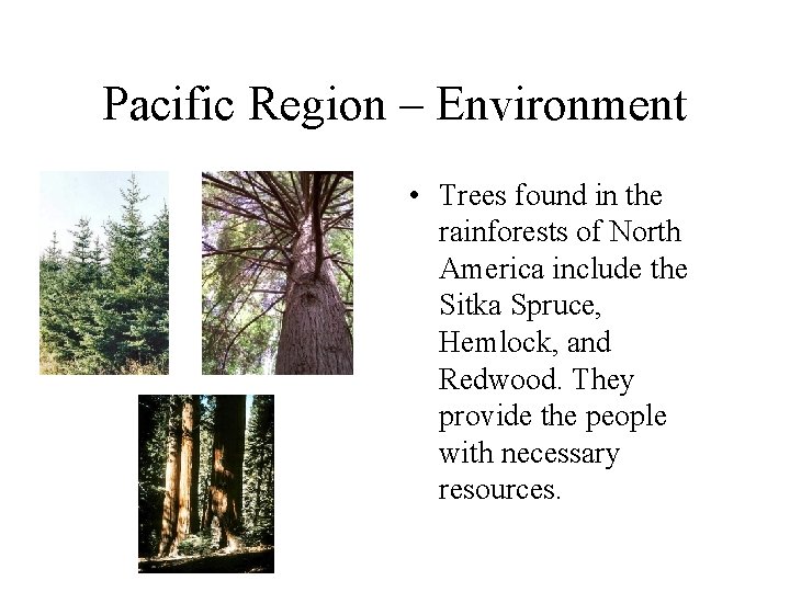 Pacific Region – Environment • Trees found in the rainforests of North America include