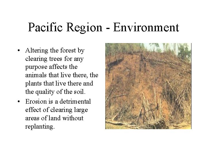 Pacific Region - Environment • Altering the forest by clearing trees for any purpose