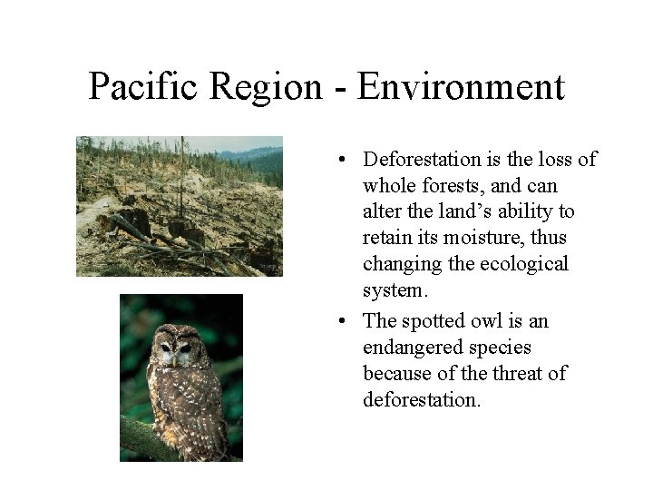 Pacific Region - Environment • Deforestation is the loss of whole forests, and can