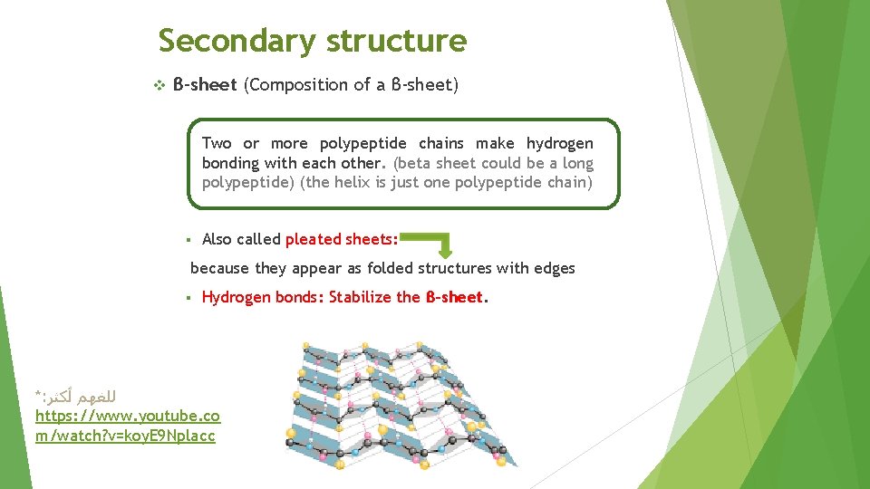 Secondary structure v β-sheet (Composition of a β-sheet) § Two or more polypeptide chains