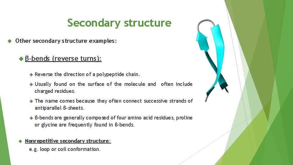 Secondary structure Other secondary structure examples: β-bends (reverse turns): Reverse the direction of a