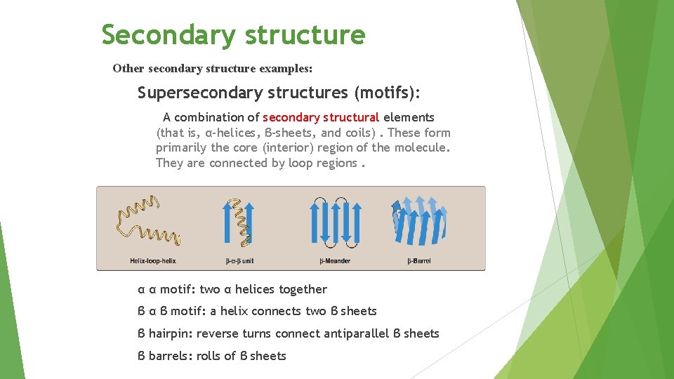 Secondary structure Other secondary structure examples: Supersecondary structures (motifs): A combination of secondary structural