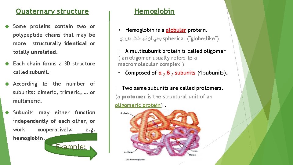 Quaternary structure Some proteins contain two or polypeptide chains that may be more structurally