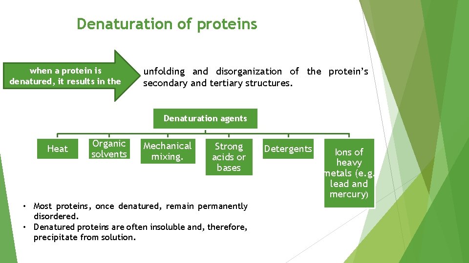 Denaturation of proteins when a protein is denatured, it results in the unfolding and