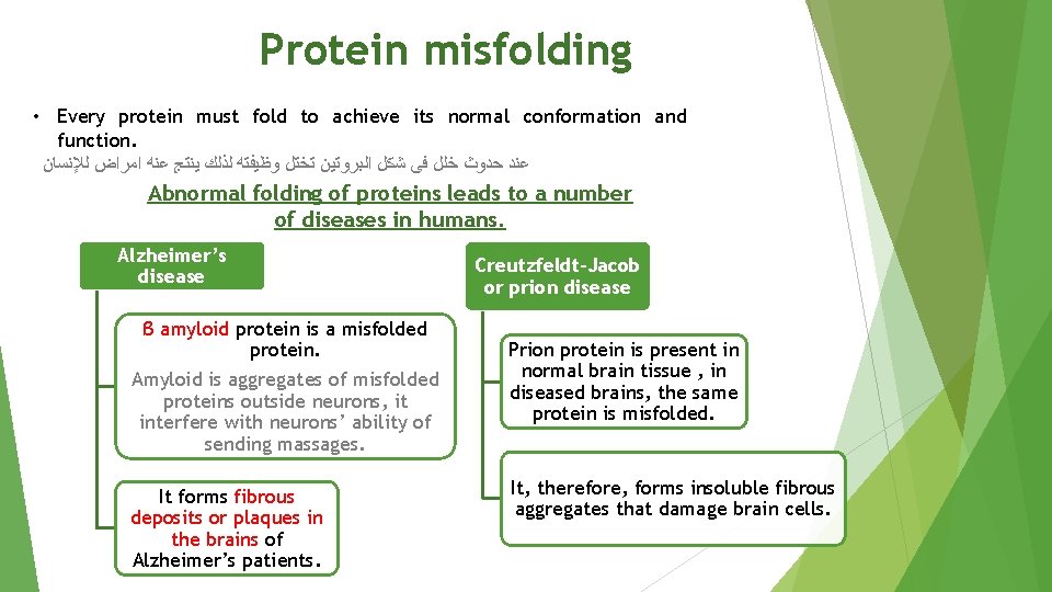 Protein misfolding • Every protein must fold to achieve its normal conformation and function.