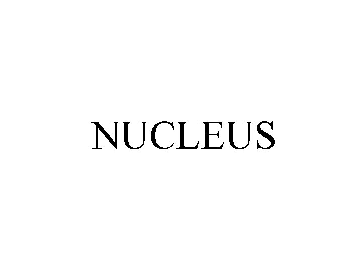NUCLEUS 