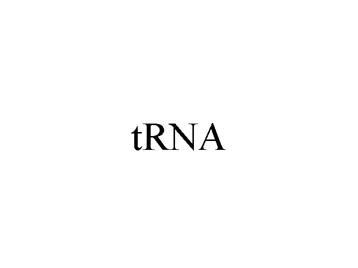 t. RNA 