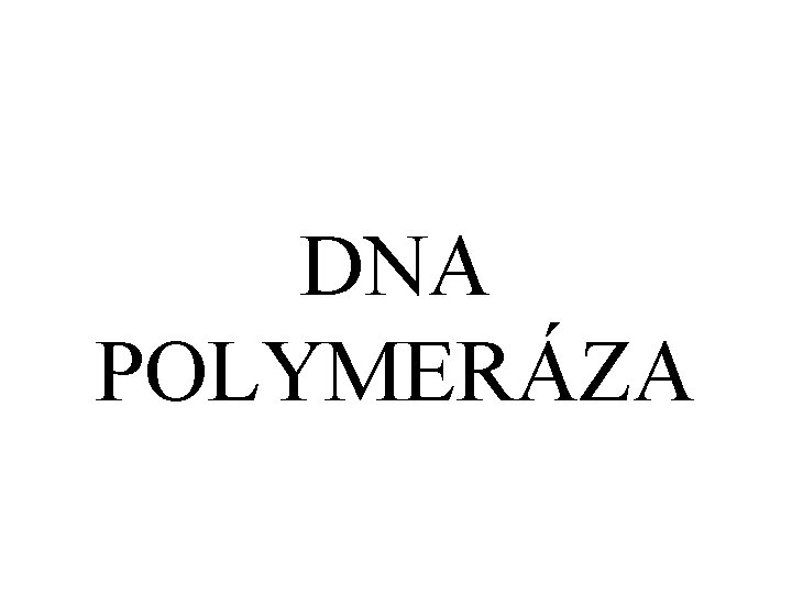 DNA POLYMERÁZA 