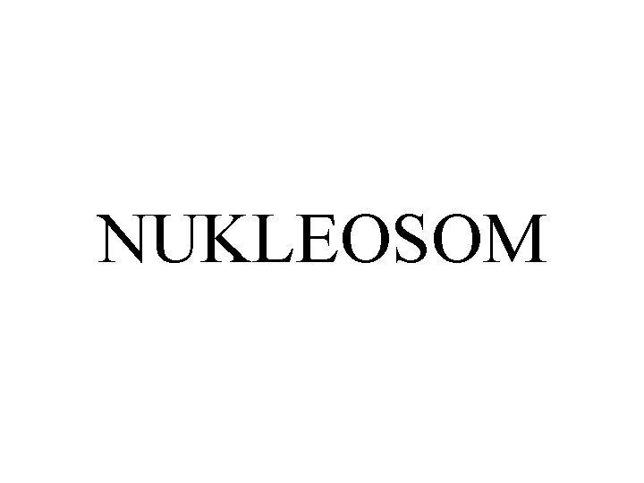 NUKLEOSOM 