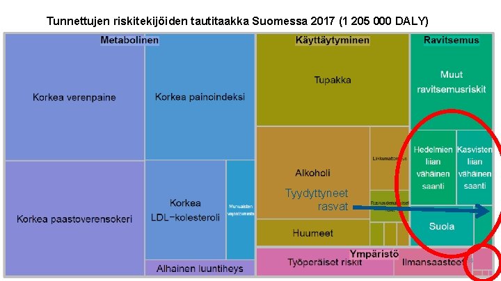 Tunnettujen riskitekijöiden tautitaakka Suomessa 2017 (1 205 000 DALY) Tyydyttyneet rasvat 25. 4. 2019